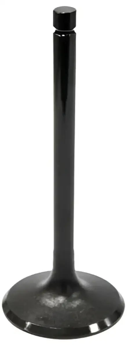 BRONCO Intake Valve for Powersports