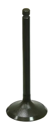 BRONCO Intake Valve for Powersports