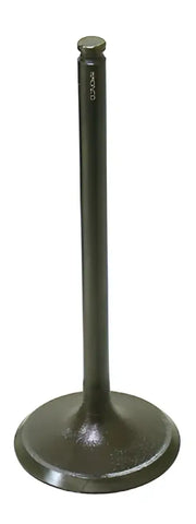BRONCO Intake Valve for Powersports