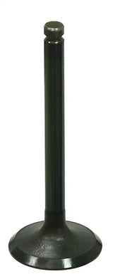 BRONCO Intake Valve for Powersports