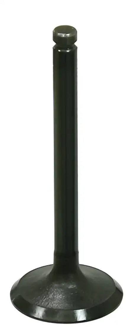 BRONCO Intake Valve for Powersports