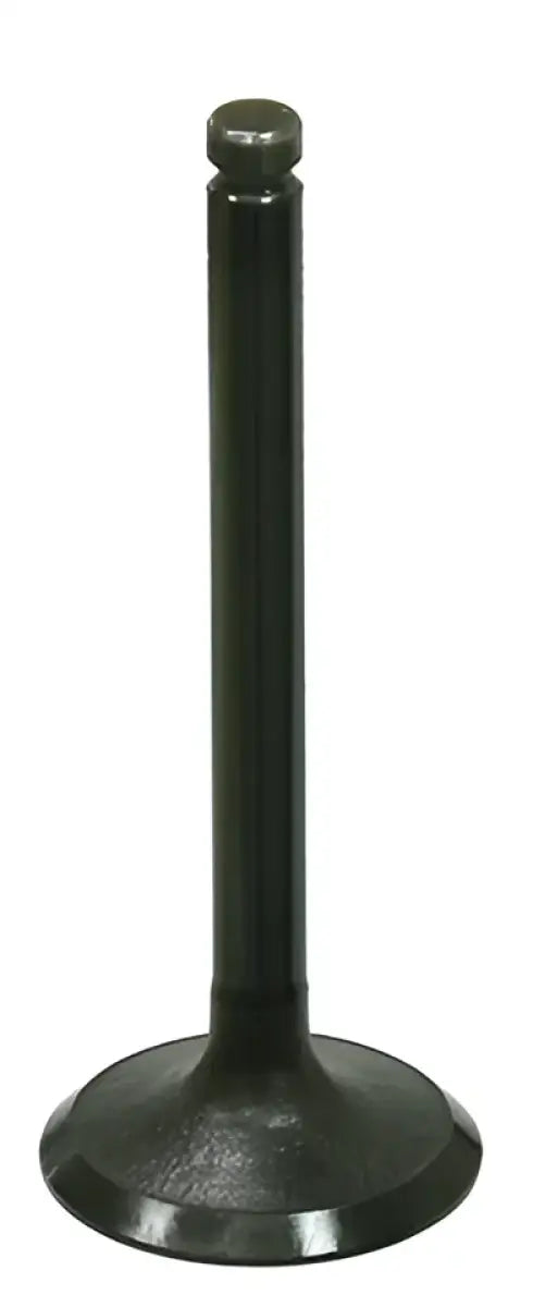 BRONCO Intake Valve for Powersports