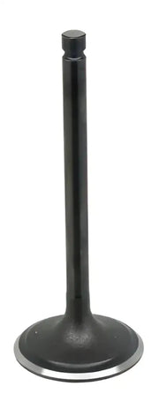 BRONCO Intake Valve for Powersports