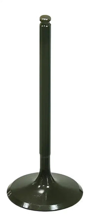 BRONCO Intake Valve for Powersports