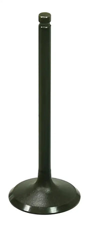 BRONCO Intake Valve for Powersports