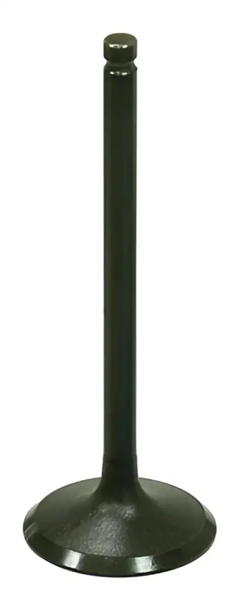 BRONCO Intake Valve for Powersports