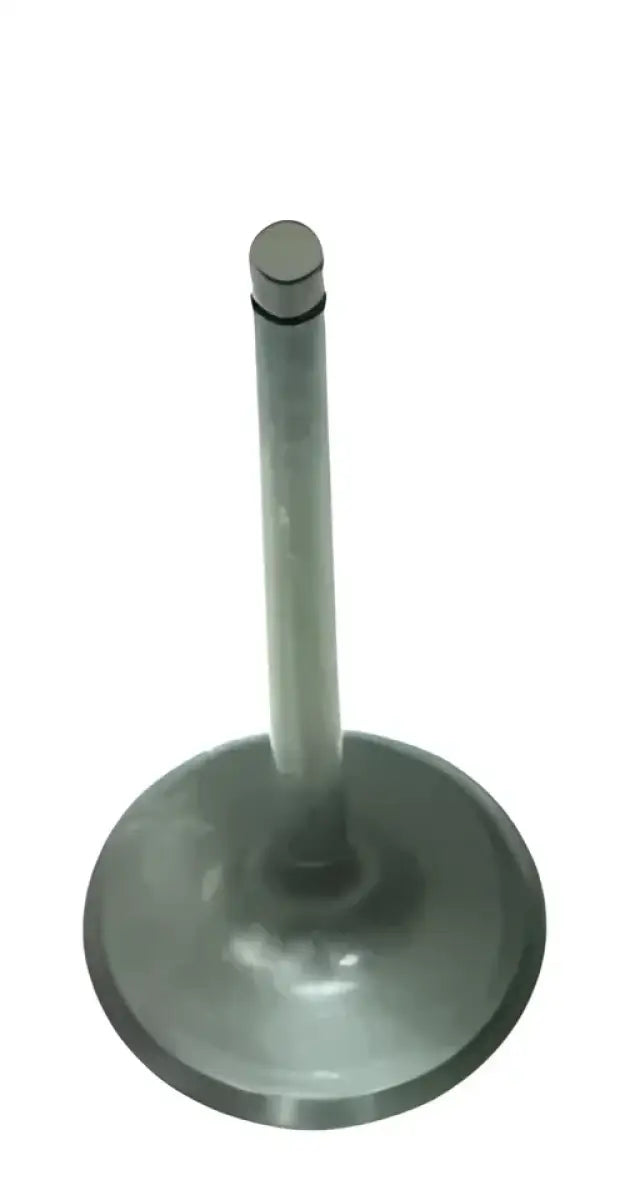 BRONCO Intake Valve for Powersports