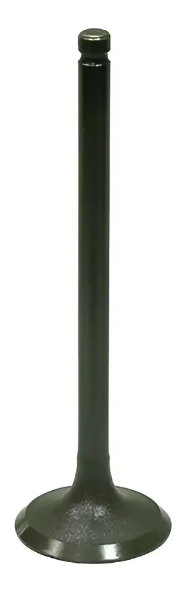 BRONCO Intake Valve for Powersports