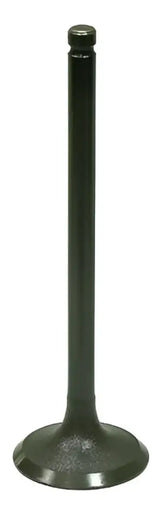 BRONCO Intake Valve for Powersports