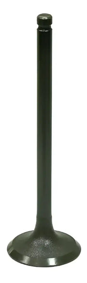 BRONCO Intake Valve for Powersports