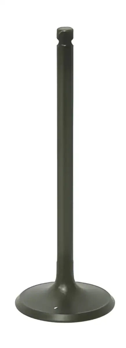 BRONCO Intake Valve for Powersports