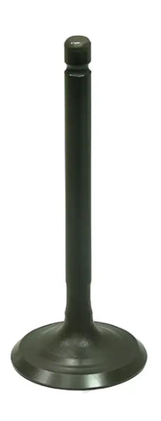 BRONCO Intake Valve for Powersports