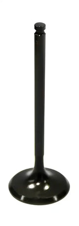 BRONCO Intake Valve for Powersports