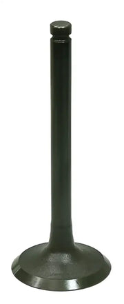BRONCO Intake Valve for Powersports