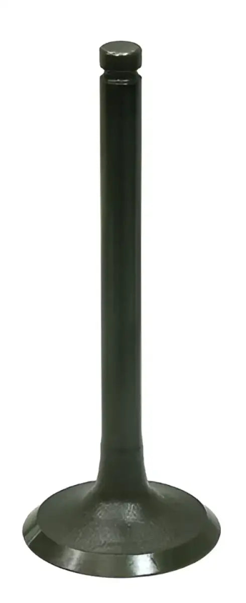 BRONCO Intake Valve for Powersports
