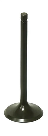 BRONCO Intake Valve for Powersports