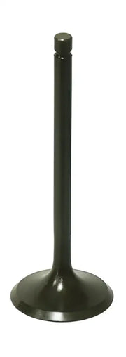 BRONCO Intake Valve for Powersports