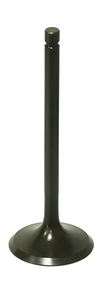 BRONCO Intake Valve for Powersports