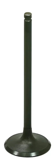 BRONCO Intake Valve for Powersports