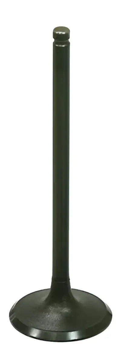 BRONCO Intake Valve for Powersports