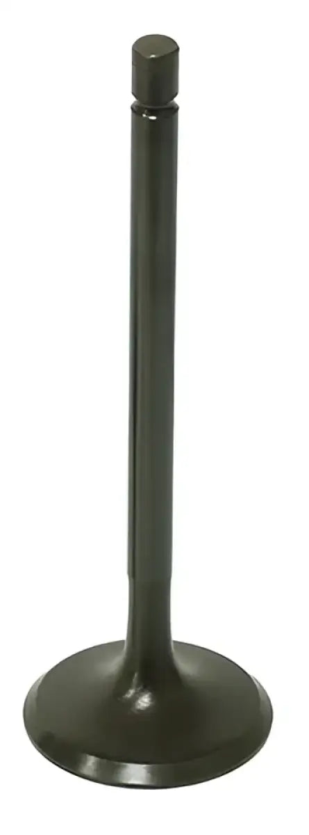 BRONCO Intake Valve for Powersports