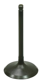 BRONCO Intake Valve for Powersports