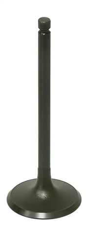 BRONCO Intake Valve for Powersports