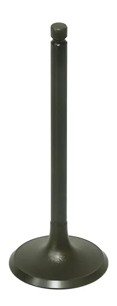 BRONCO Intake Valve for Powersports