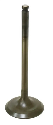 BRONCO Intake Valve for Powersports