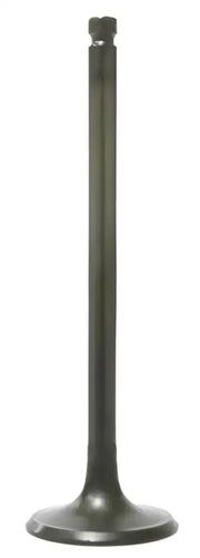 BRONCO Intake Valve for Powersports