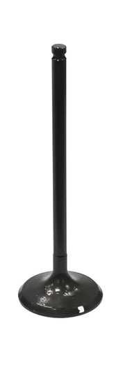 BRONCO Intake Valve for Powersports