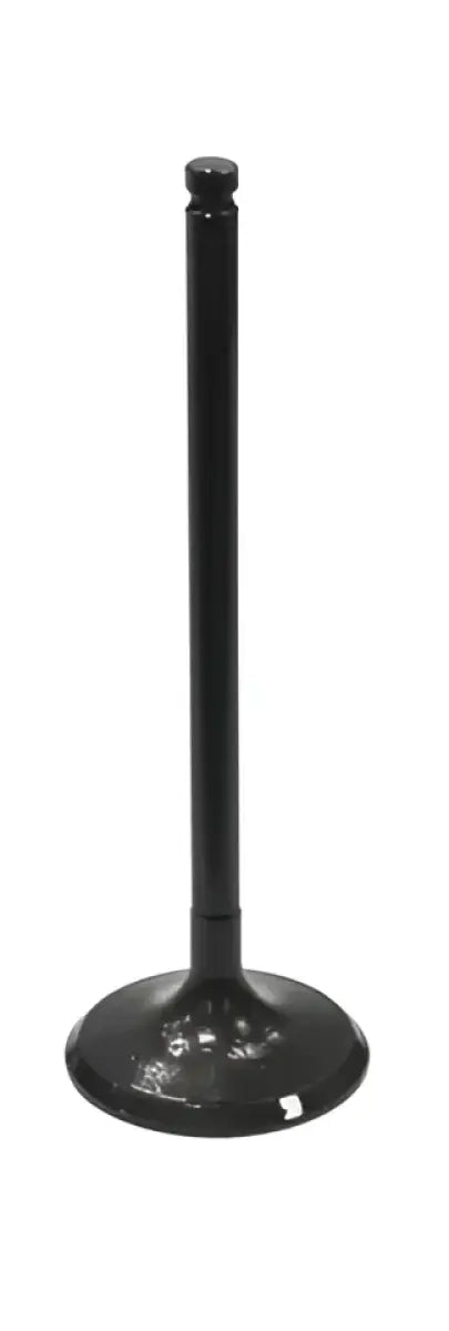 BRONCO Intake Valve for Powersports