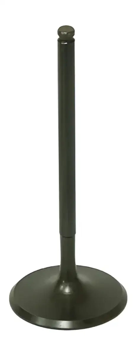 BRONCO Intake Valve for Powersports