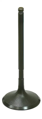 BRONCO Intake Valve for Powersports