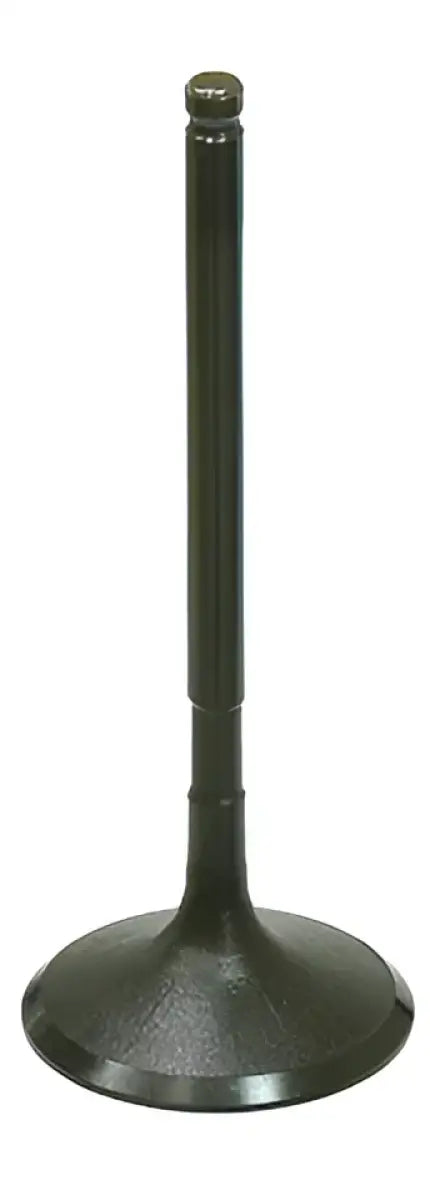 BRONCO Intake Valve for Powersports