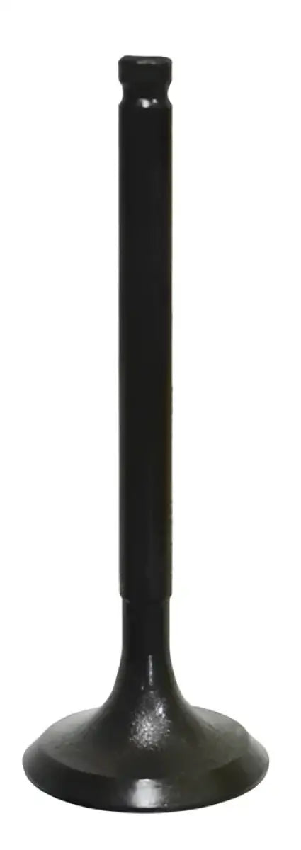BRONCO Intake Valve for Powersports