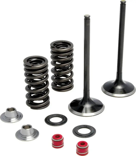 Intake Valve Spring Kit - RV and Auto Parts
