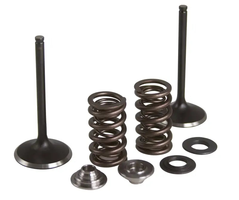 Intake Valve/Spring Kit Stainless Steel Yam