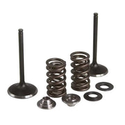 Intake Valve/Spring Kit Stainless Steel Yam