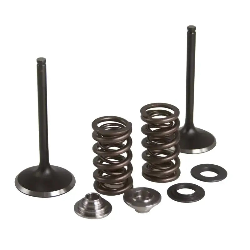 Intake Valve/Spring Kit Stainless Steel Yam