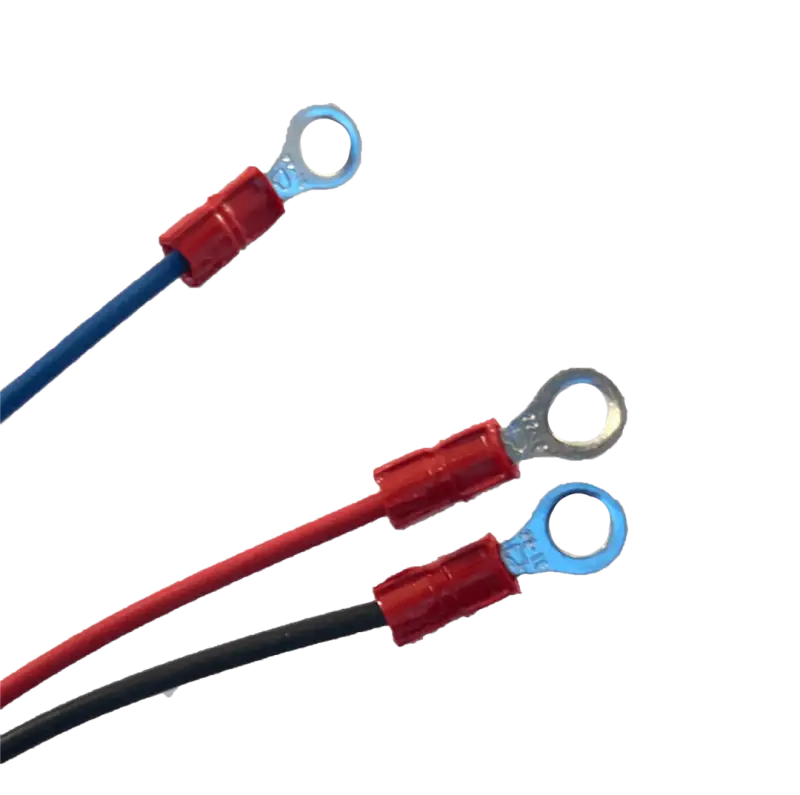 Intellitec Battery Isolator Relay Delay for RV Charging - RV and Auto Parts