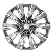 IWC103716S Coast2Coast Wheel Cover 16 Inch