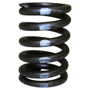 J3228192 Crown Auto Valve Spring