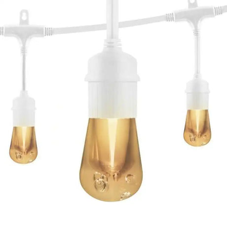 35646 Party Lights