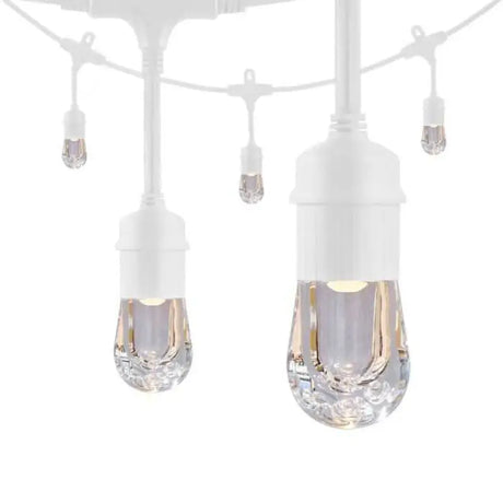 36803 Party Lights