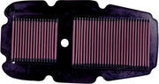 K&N Air Filter for Powersports