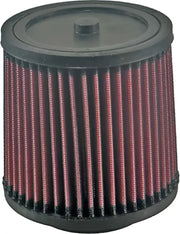 K&N Air Filter for Powersports