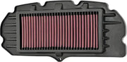 K&N Air Filter for Powersports