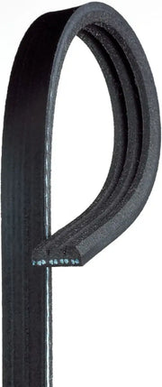 K030195SF Gates Corp V-Ribbed Belt