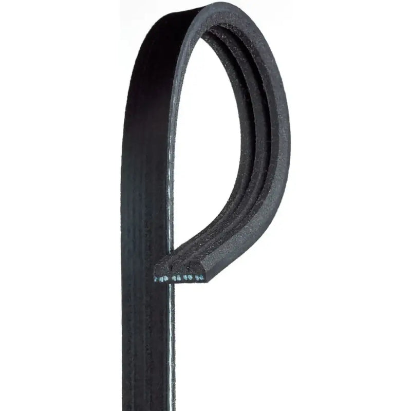 K030195SF Gates Corp V-Ribbed Belt
